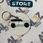 ميدالية - لاند