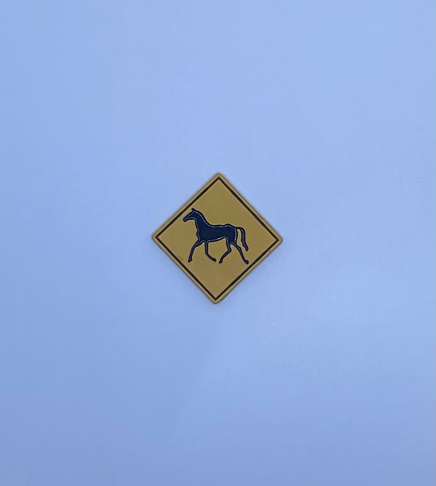 IMG_3936 خيلل - الصورة 1