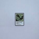PANTONE MATCHA