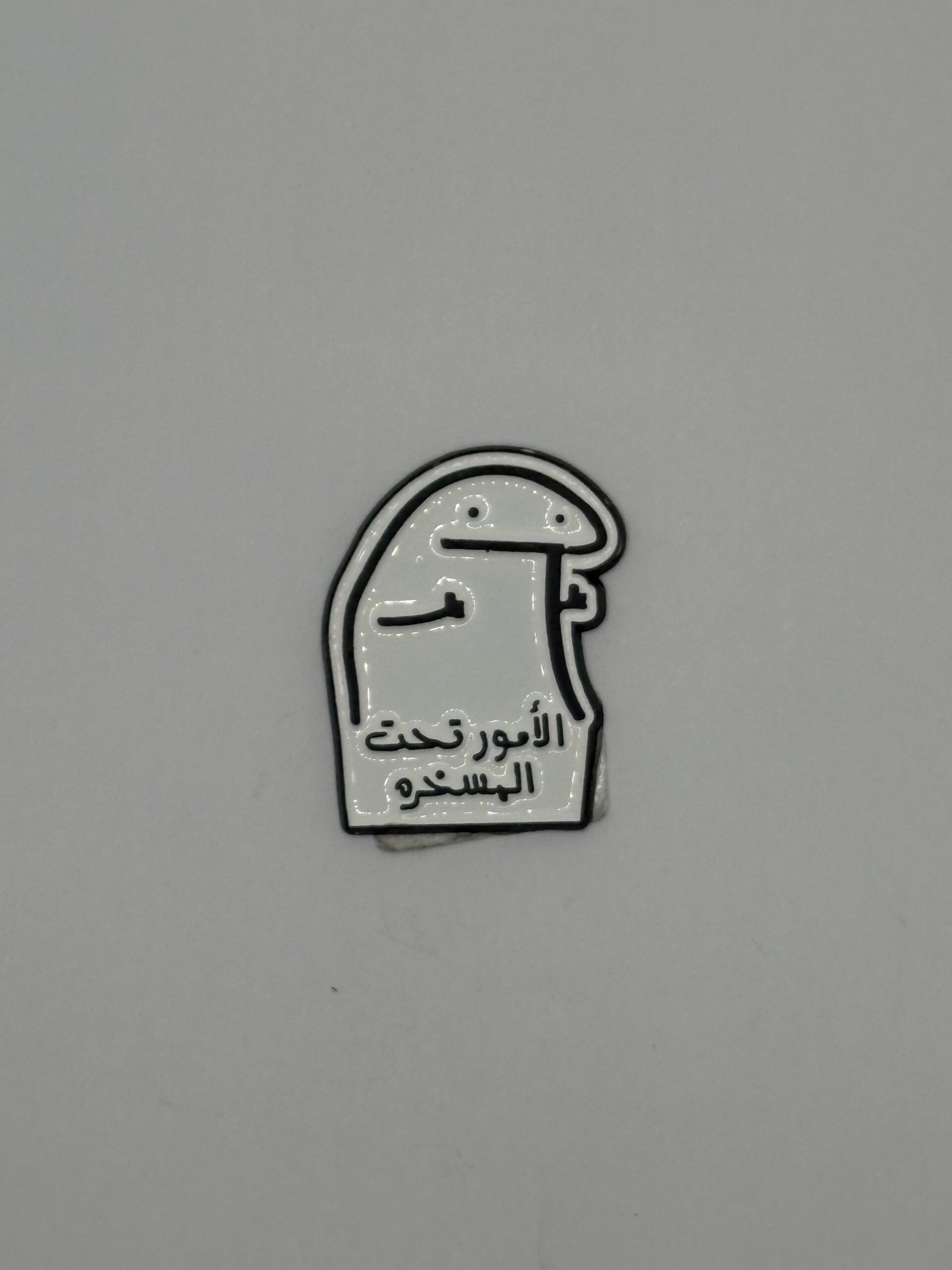 IMG_6318 الامور تحت المسخره - الصورة 1